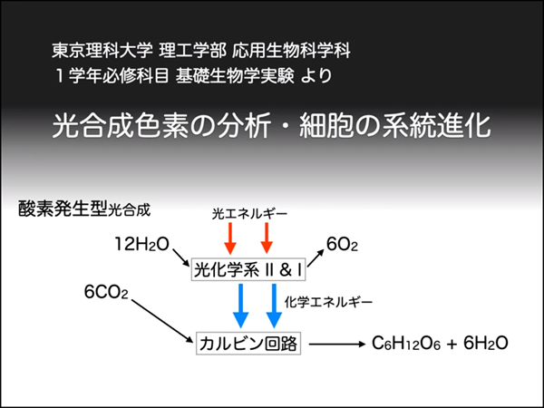 模擬講義 画像