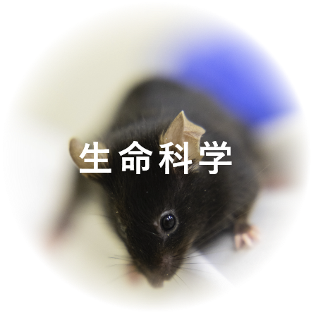 生物科学 画像